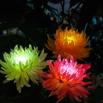 Nepremokavé Solárne Chryzantéma Svetlo LED Vonkajšie Nádvorie Dekorácie Kvet Trávy Poschodí Svetlo LED Záhrada Krajiny Svetlo Obrázok