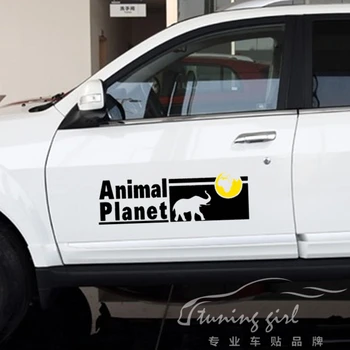 Auto Samolepky 2KS Animal Planet Earth Objav Slon Tvorivé Nálepky Na Dvere Nepremokavé Auto Tuning Styling 32 cm 50 cm D22 Obrázok